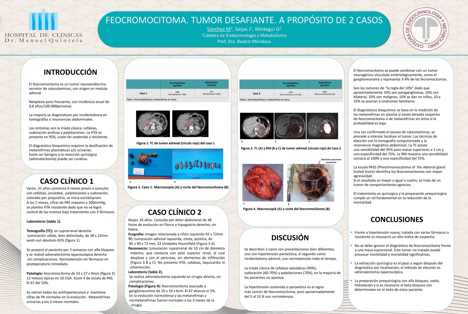 Poster 81